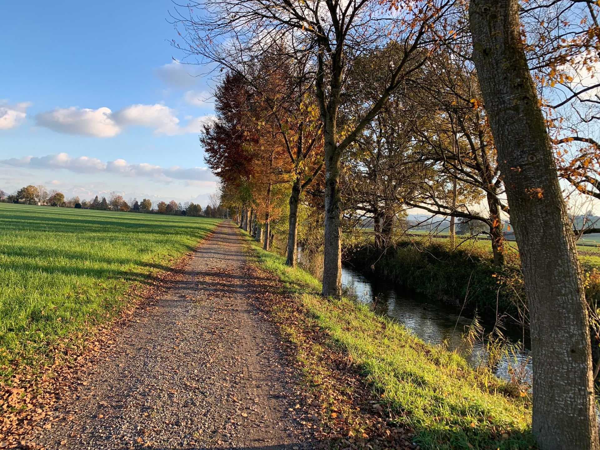 Gravel path beside a small canal lined with autumn trees, green fields stretching to distant hills under a blue sky.