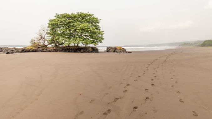 Wide beach scene with a solitary tree on a rocky outcrop, footprints in sand, and ocean horizon in Equatorial Guinea near Mengomeyén