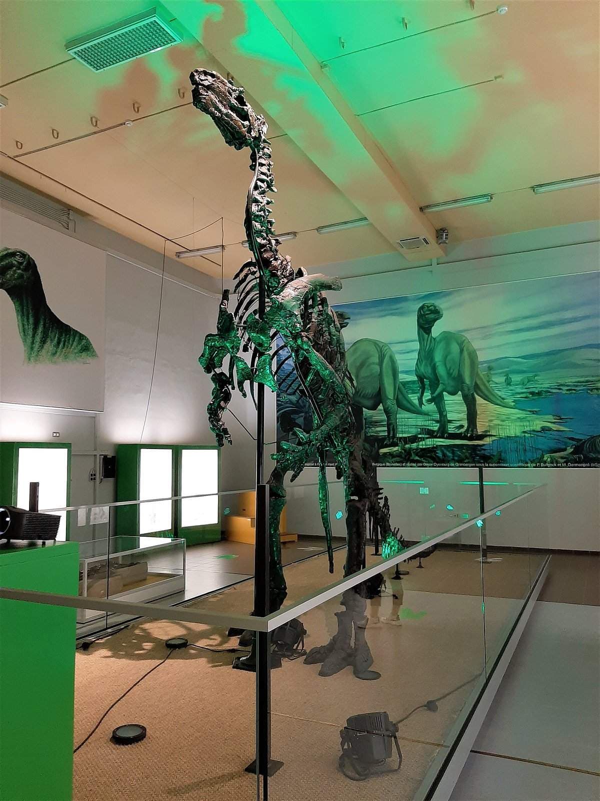 Interior museum exhibit featuring a mounted dinosaur skeleton under green lighting, with a large prehistoric mural on the wall.