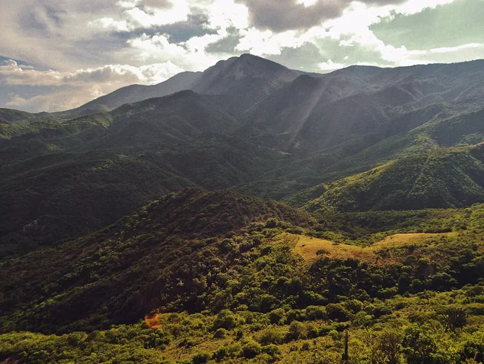 View of a winding road cutting through green mountain valleys in Sierra Norte, Oaxaca