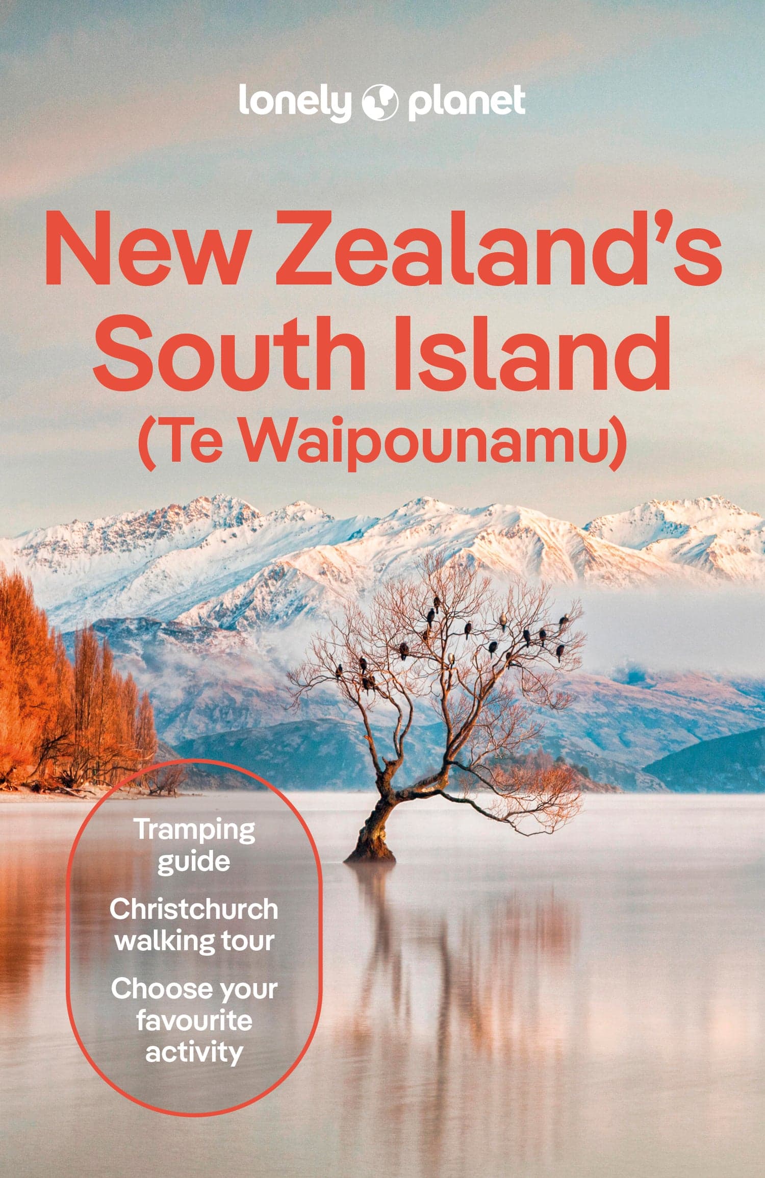 Travel guide to visit in summer New Zealand South Island glaciers and mountains