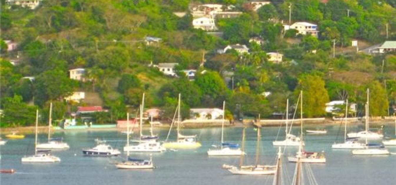 Wide view of a harbor filled with anchored sailboats and yachts, set against a lush green hillside dotted with houses.