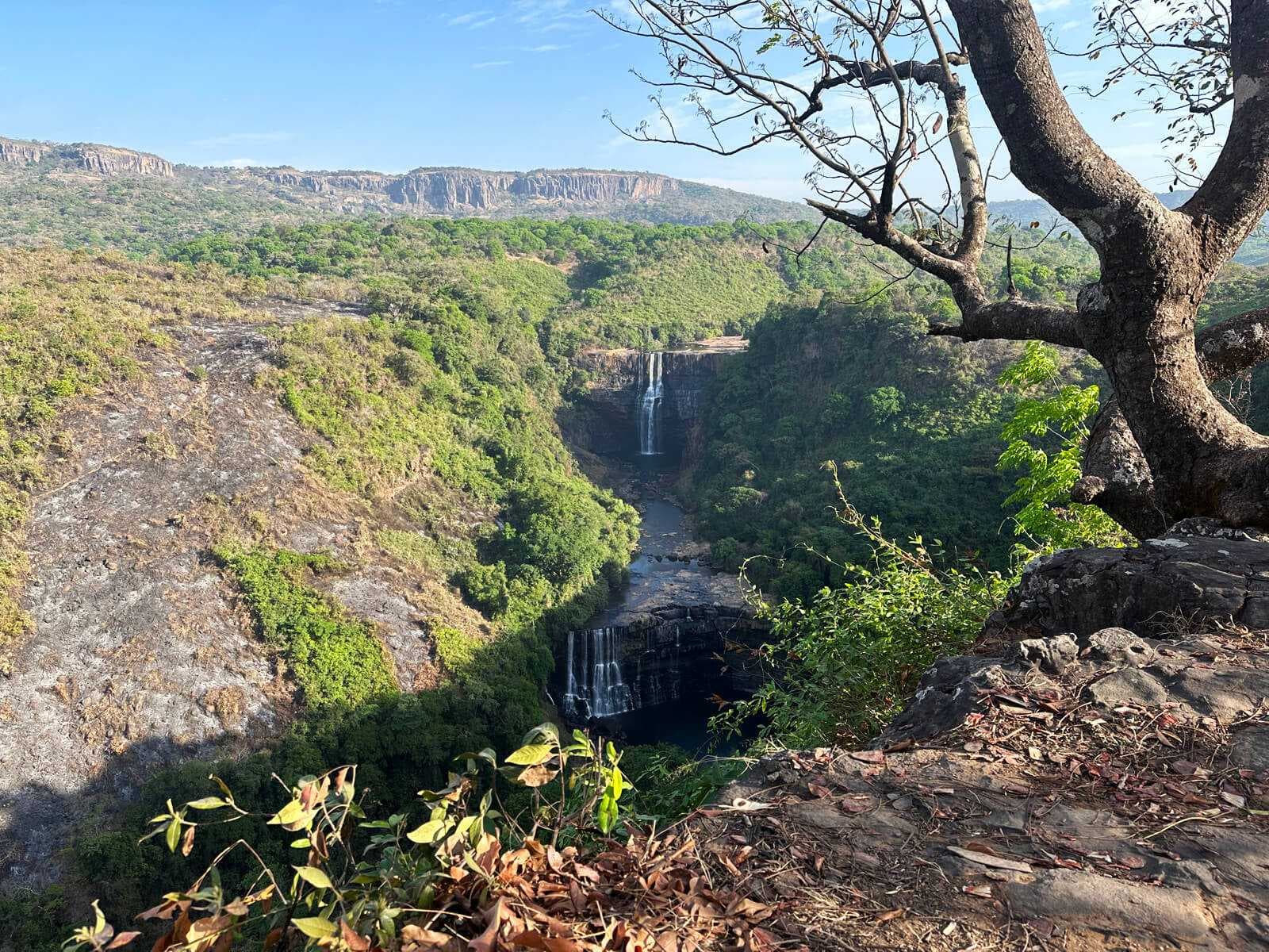 Wide landscape of green highland terrain with a waterfall in a gorge, rocky cliffs, and a tree in the foreground in the Fouta Djallon region.