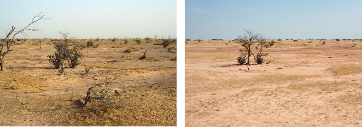 Split view of arid Mauritanian landscape with sparse vegetation and dry earth under a clear sky.