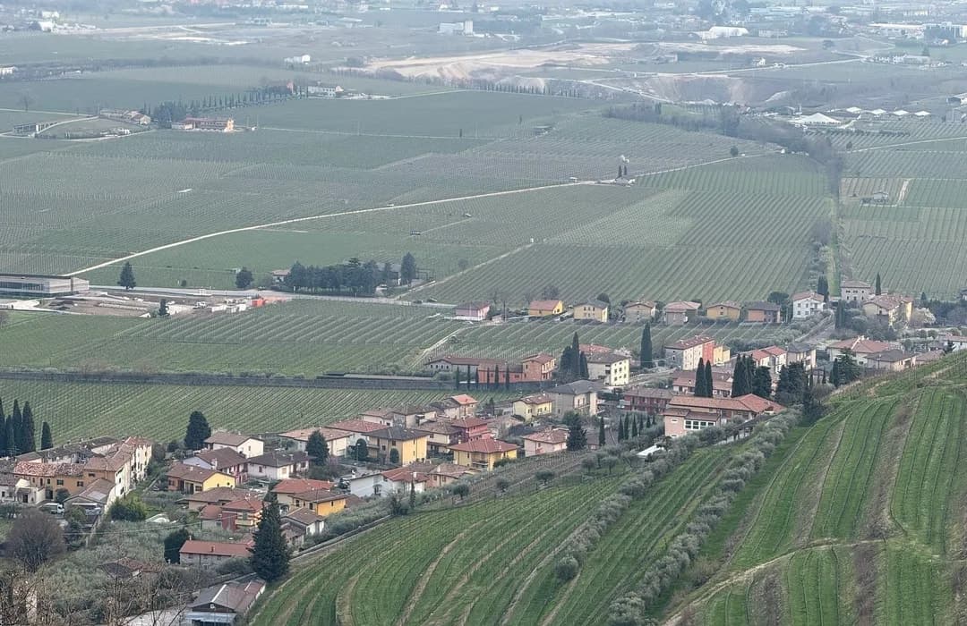 Aerial view of rolling green vineyards and a small village with terracotta roofs in the Arbizzano hills.