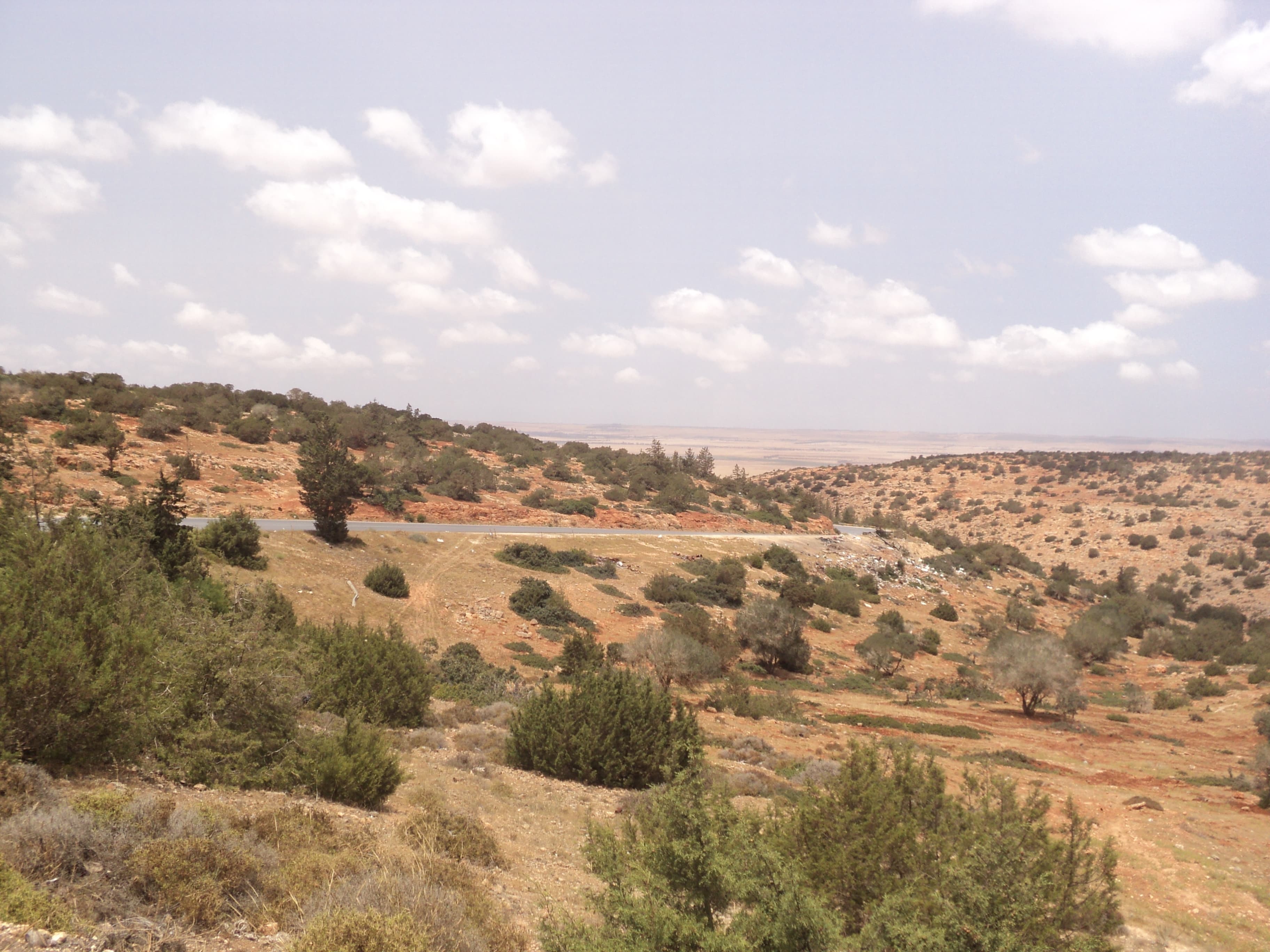 A wide landscape view of the Al Abyār region showing arid, rolling hills with scattered green vegetation and a paved road under a cloudy sky.