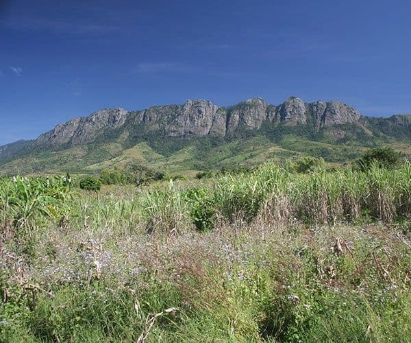 A real photograph of a grassy highland foreground with a rugged, forested mountain ridge under a clear blue sky.