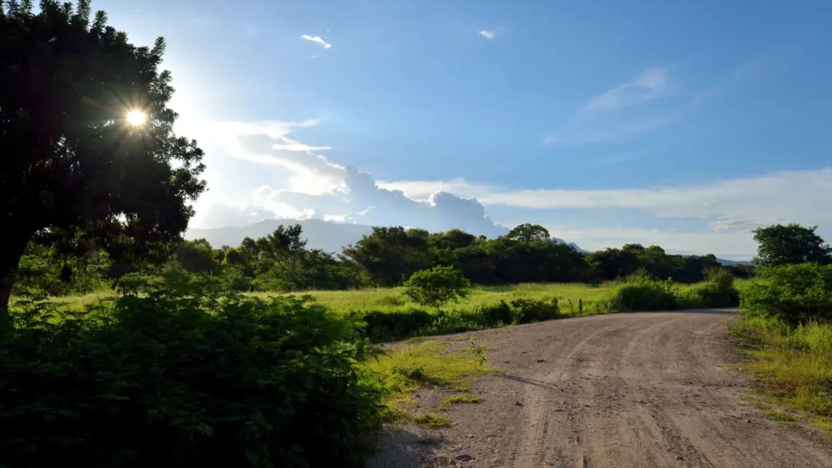 Dirt road curving through green countryside with trees, distant mountains, and bright sun in a blue sky.