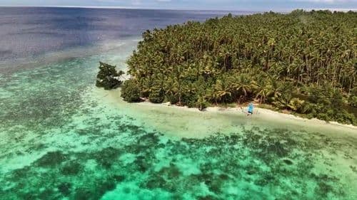 Aerial view of Kawalu Bay in the Banggai Islands, Indonesia, showing a tropical island with dense palm forest, white sand beach, and turquoise shallow waters