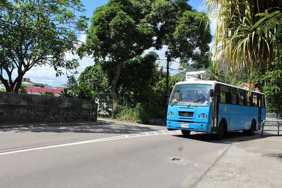 A blue public bus drives along a paved road in Victoria, surrounded by lush green trees and tropical vegetation under a bright sky.