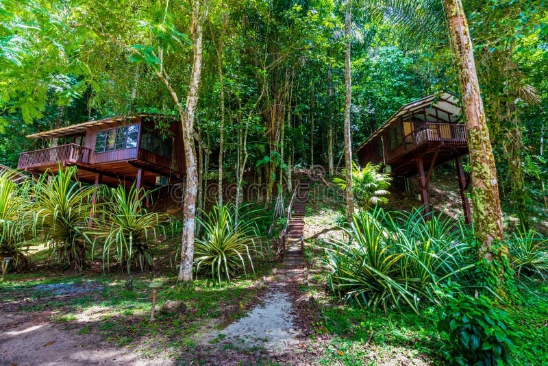Wooden bungalows surrounded by lush greenery at an eco-resort in Brokopondo, Suriname