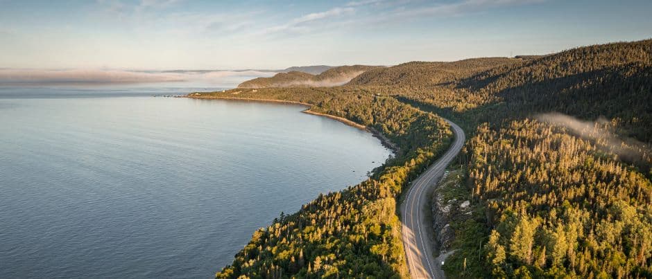 Aerial view of a coastal highway winding through dense green forests along a calm blue sea with morning mist.