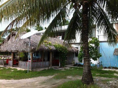 Wide exterior view of village buildings including a thatched-roof open structure and a blue-and-white house framed by palm trees along a grassy shoreline at Amb