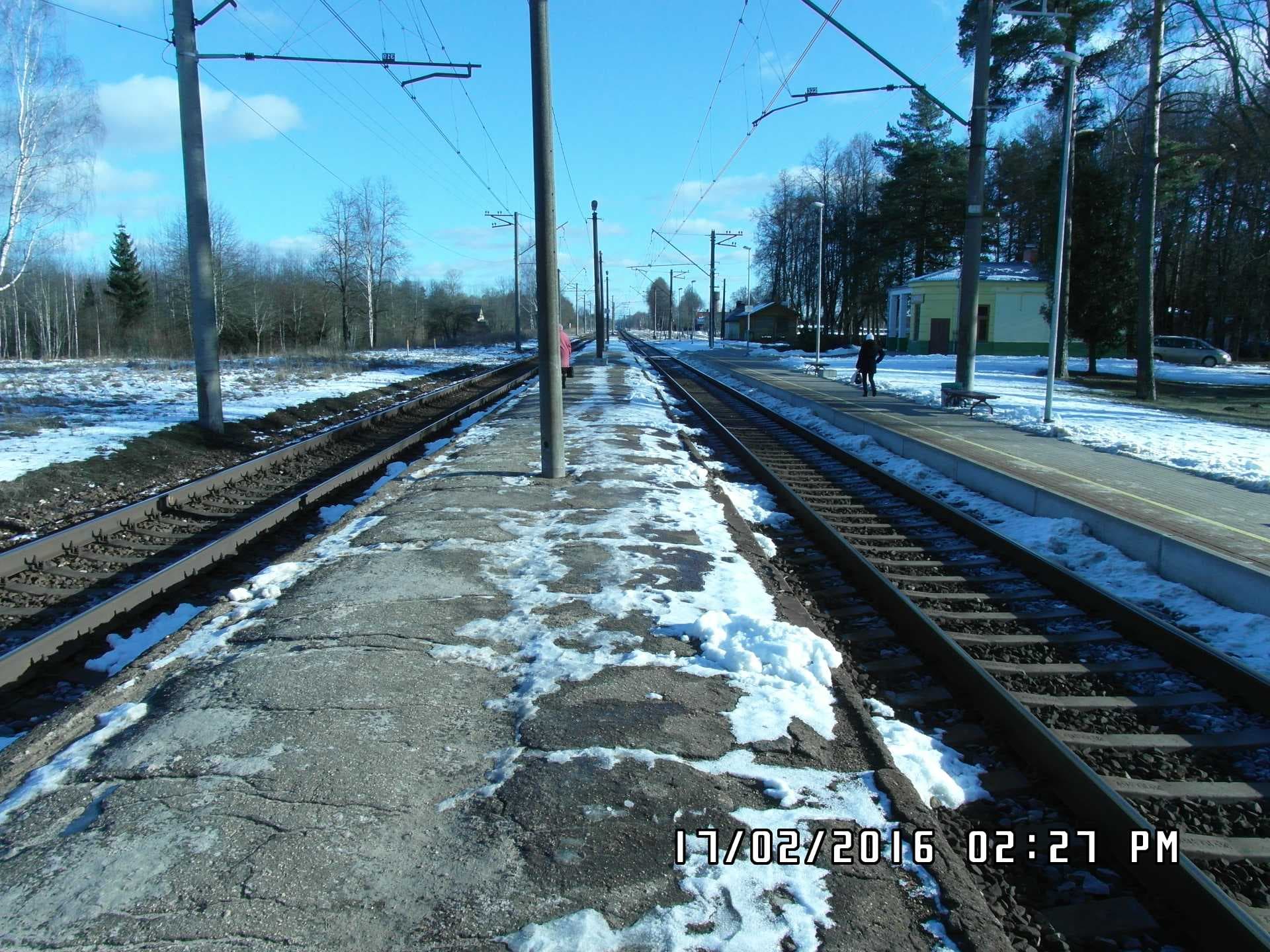 Image 3
