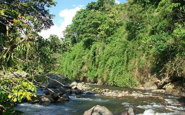 Scenic landscape of Kasaguadua Natural Reserve in Rivera, Colombia, featuring mountains and forest during spring