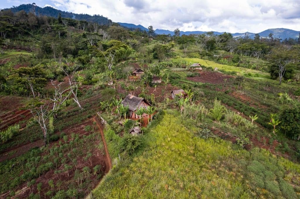 Aerial view of a tropical highland landscape with terraced gardens, small huts, and distant mountains under a cloudy sky