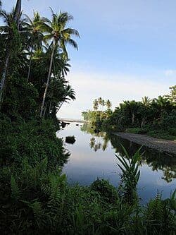 Tropical river and shoreline near Kirakira with palm trees, lush green vegetation, and calm water reflecting the sky.