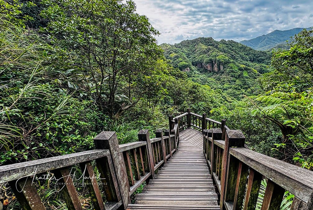 Wide view of the Pizitou coastline in Keelung, Taiwan, showing wetland vegetation and the ocean