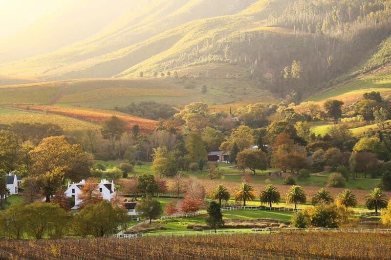 Countryside farm estate landscape with rolling hills, vineyards, white farm buildings, and autumn trees in warm sunlight.
