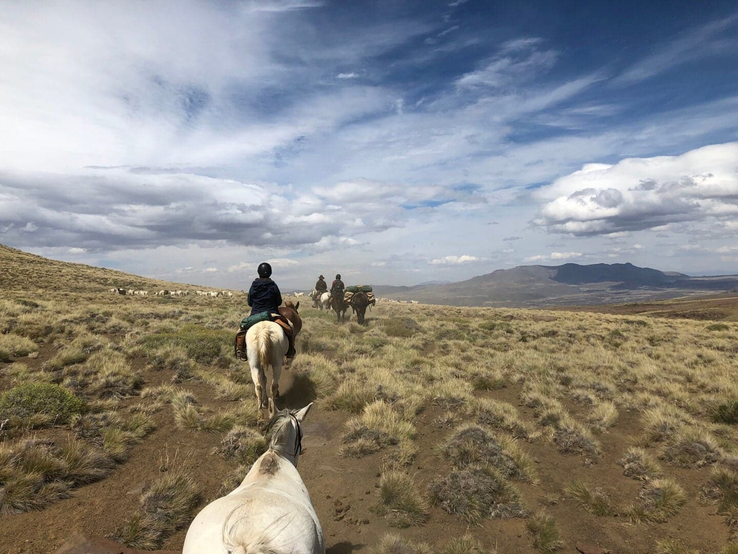 Horseback riders traverse a grassy highland trail under a cloudy sky, heading toward distant mountains in a scenic landscape.