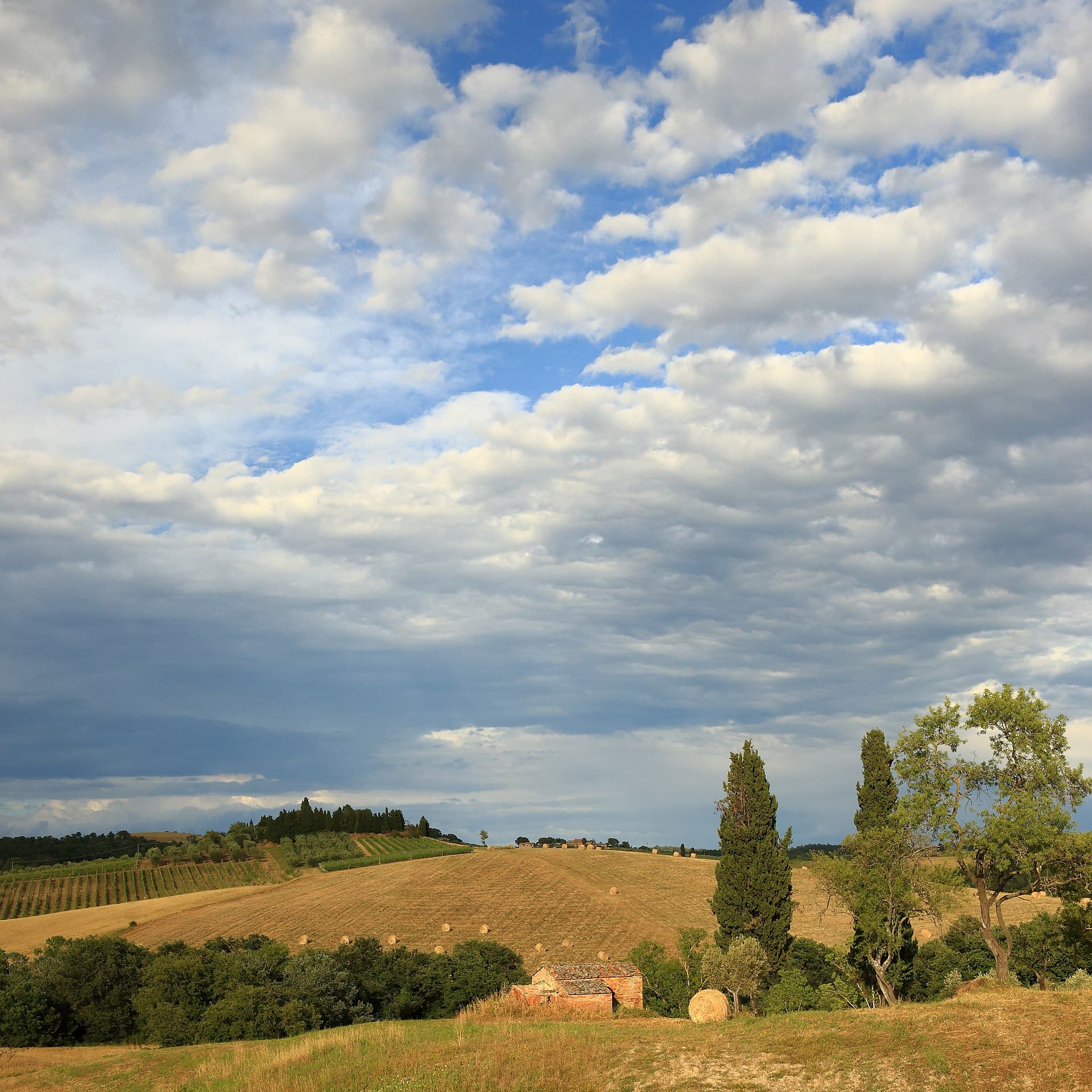Ribolla — travel photo