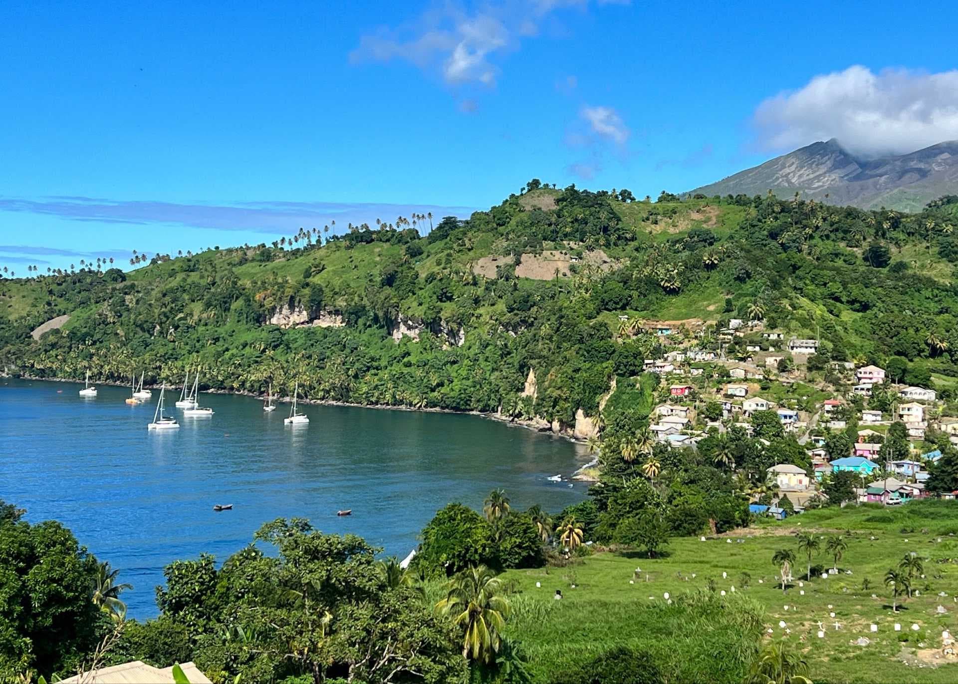 Green hillside overlooking Barrouallie Bay, Saint Vincent and the Grenadines, with moored catamarans, coastal houses, and a distant mountain under a blue sky.