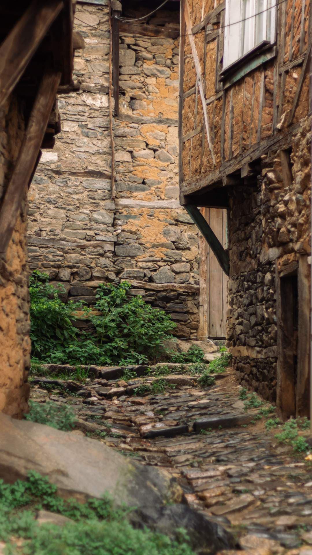 Narrow cobblestone alley between rustic stone and timber buildings, with green plants growing along the walls.