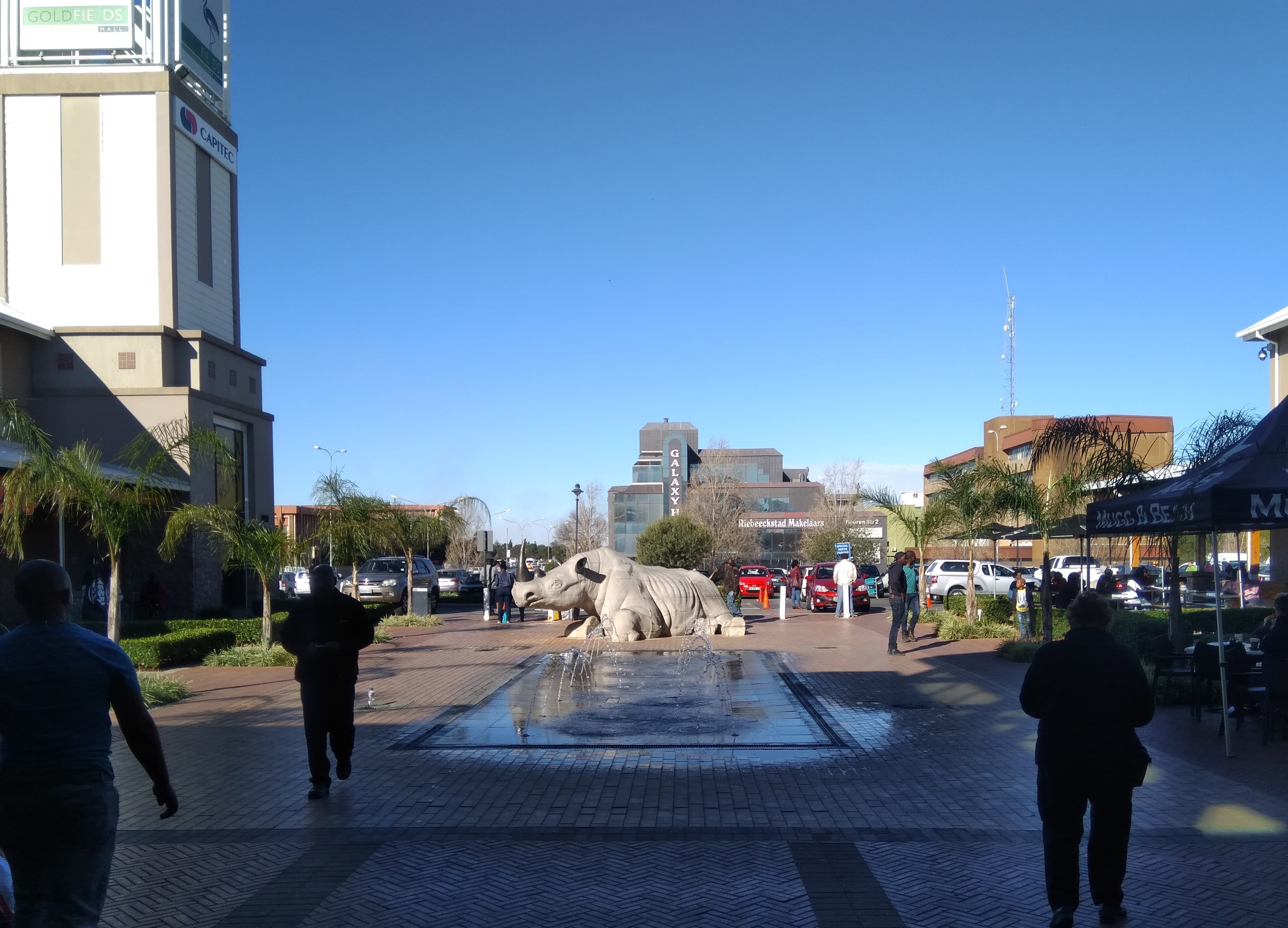 Street view of Hennenman town center featuring a large rhino sculpture fountain, palm trees, and pedestrians walking near commercial buildings under a clear blu