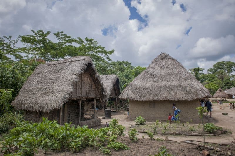 Thatched-roof village houses in a rural Sierra Leone setting with lush greenery and a few people in the background.