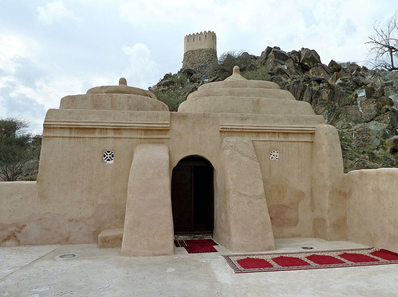 Image 5