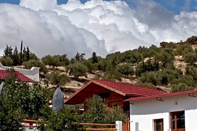 Hillside with olive trees and cypresses above red-roofed houses near the Uthina ruins in Ben Arous, under a dramatic cloudy sky.