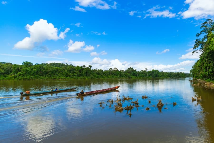 Panoramic view of the Brokopondo Reservoir and surrounding tropical rainforest in Suriname