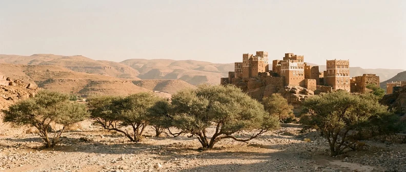 Wide landscape photograph of a Yemeni highland fortress village on rocky terrain with olive trees in the foreground.