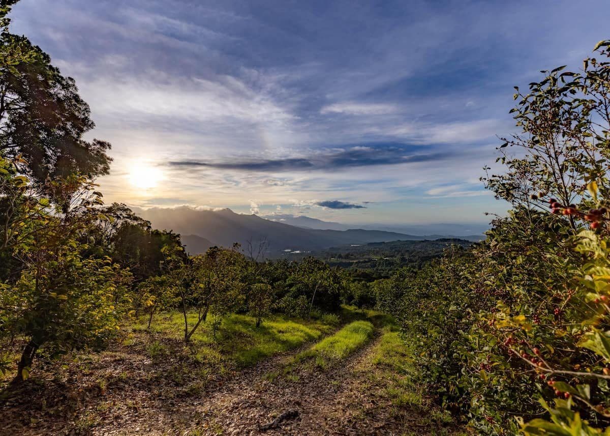 Highland mountain landscape in Chiriquí, Panama, with lush vegetation, a dirt path, and distant peaks under a cloudy sky.