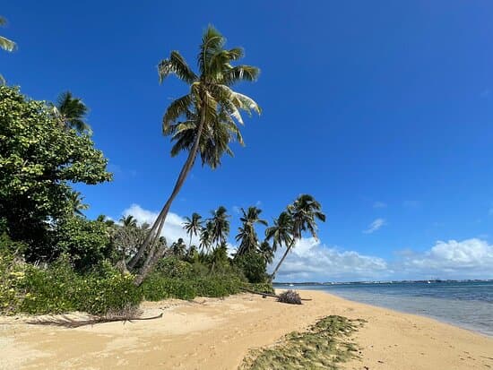 White sandy beach with turquoise ocean at Matangia, Tongatapu, Tonga