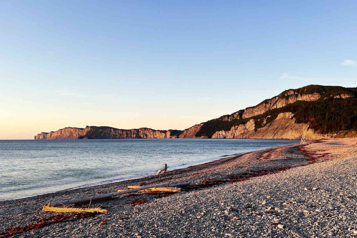 Coastal pebble beach with calm water, forested cliffs, and driftwood under a clear sky