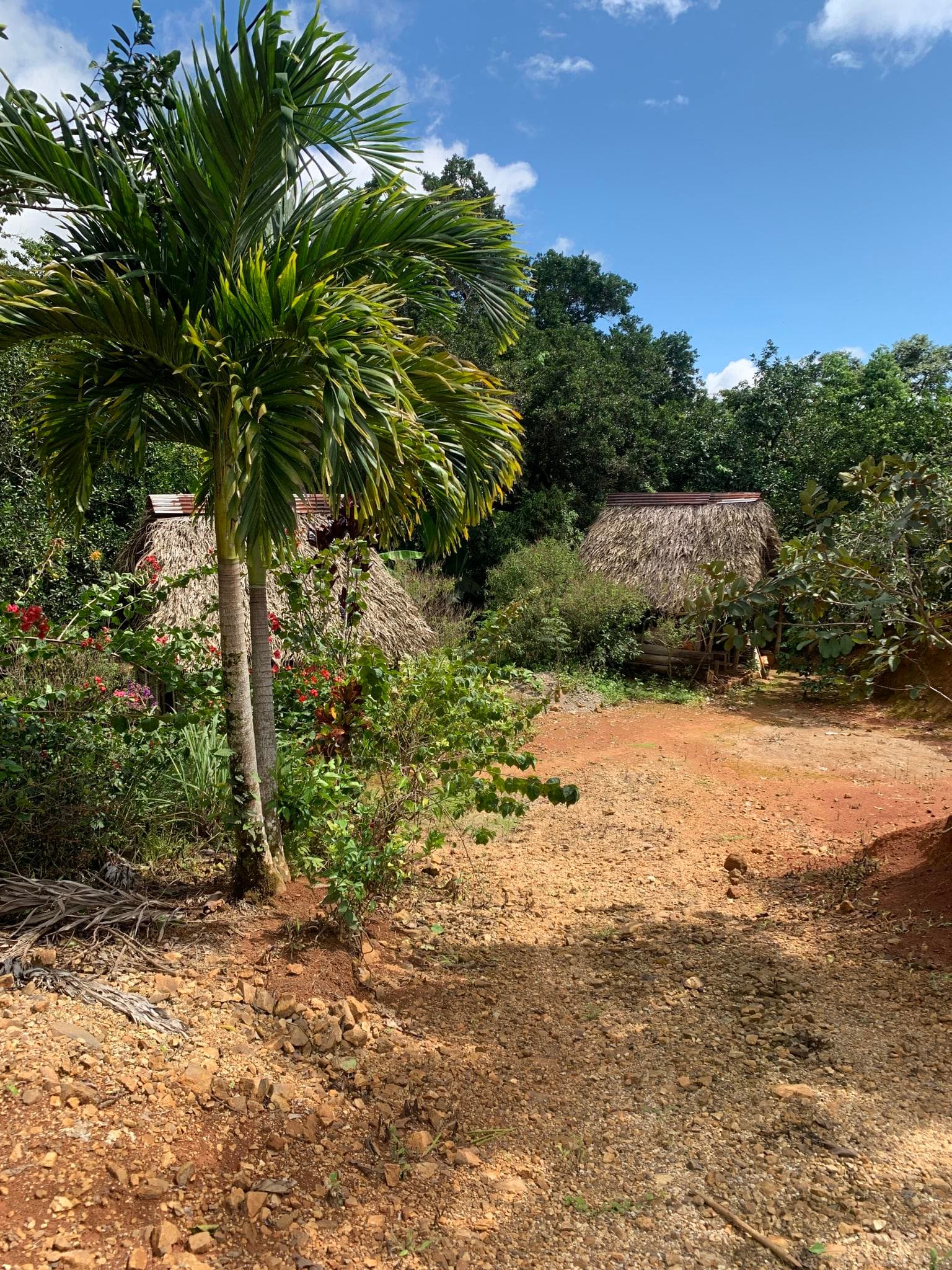 Sunlit unpaved road winding past thatched-roof huts and lush tropical vegetation
