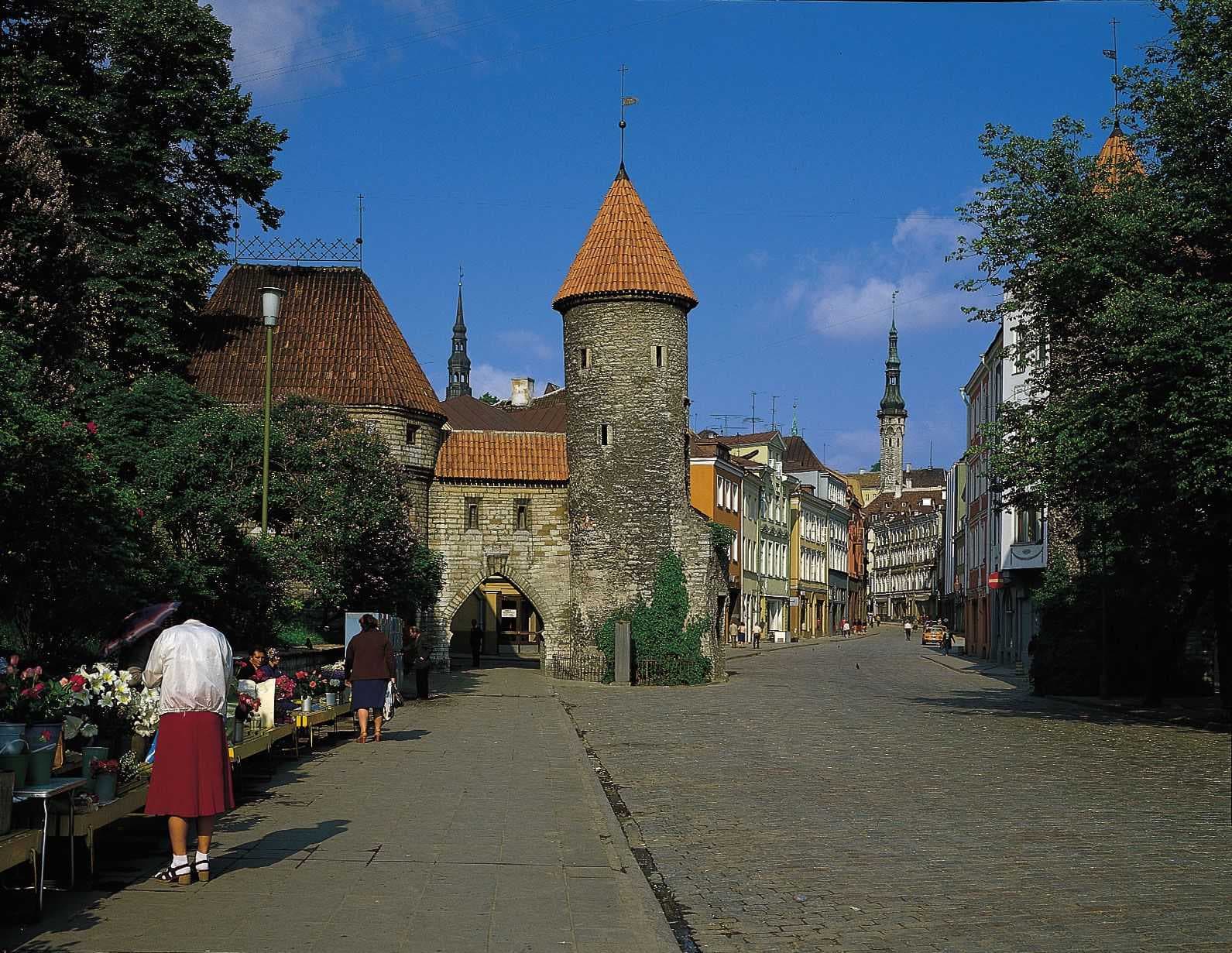 Family Adventures in Tamsalu, Estonia