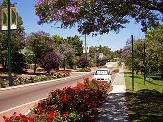 Quiet tree-lined residential street in the eastern Perth hills with flowering jacaranda and red bougainvillea, a white car parked on the side, under a clear blu