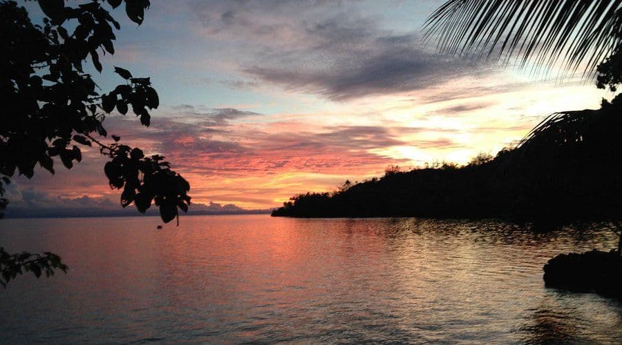 Tropical coastal sunset with silhouetted foliage framing a calm water surface and distant shoreline under colorful evening clouds in the Solomon Islands.