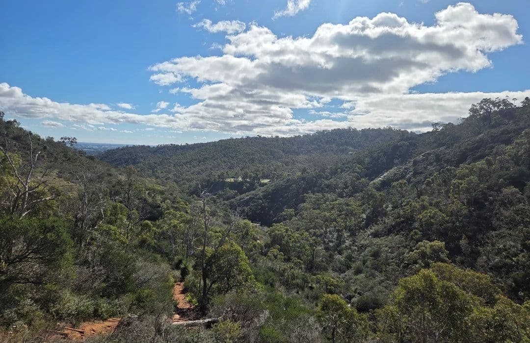 Wide landscape photograph of a leafy green ridge with eucalyptus canopy under bright sky and scattered clouds near Gooseberry Hill, Perth.