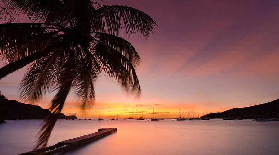 A serene sunset view of a harbor with a silhouetted palm tree in the foreground, a wooden dock, and sailboats anchored in the calm water.