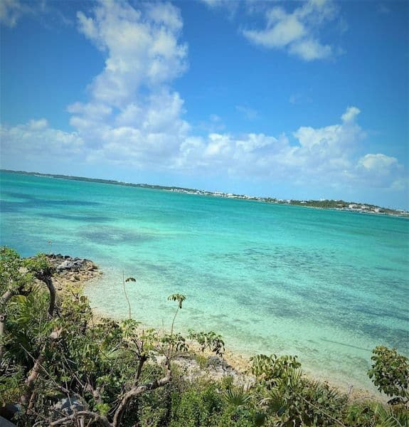 High-angle view of turquoise coastal waters and shoreline vegetation under a blue sky with scattered clouds.