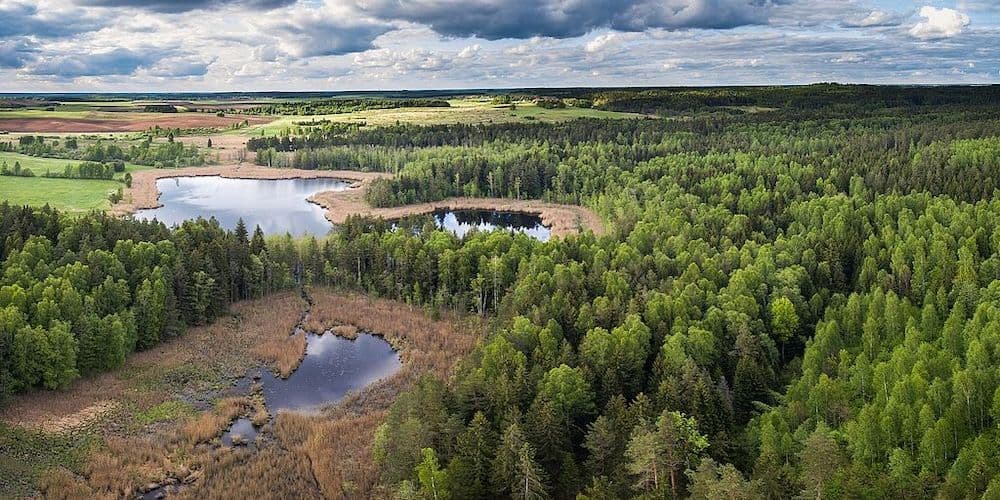 Aerial view of a lush green forest landscape with scattered lakes and wetlands under a cloudy sky, representing the Baltoji Vokė nature reserve.
