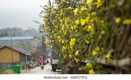 Street view of a traditional Thai village in Amphoe Suwannakhuha, Thailand, during spring