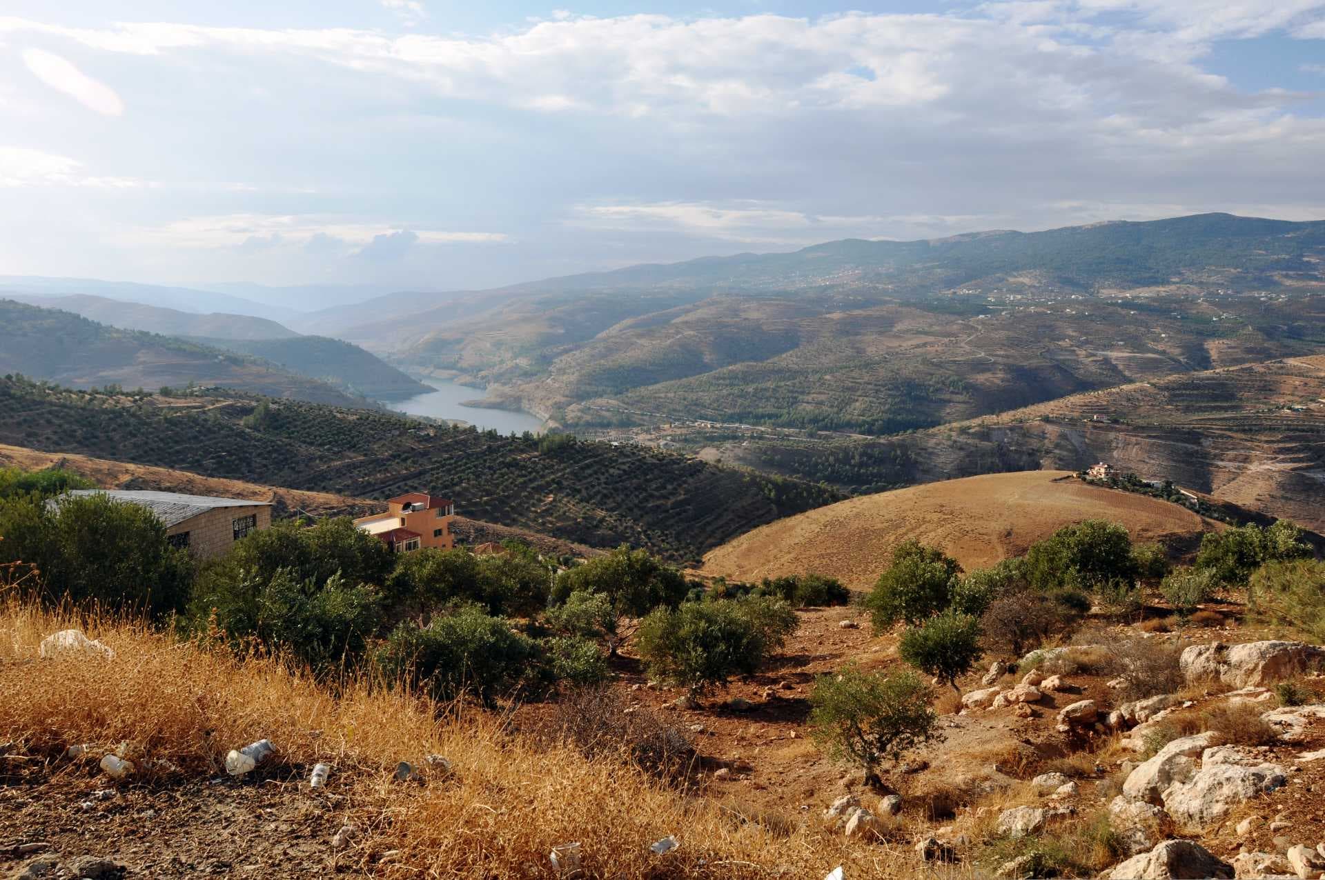 A panoramic view of rugged, arid highlands in southern Jordan, featuring rolling hills, scattered olive trees, and a distant reservoir under a cloudy sky.
