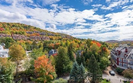Aerial view of a hillside village with autumn foliage, residential streets, and a bright blue sky with scattered clouds.