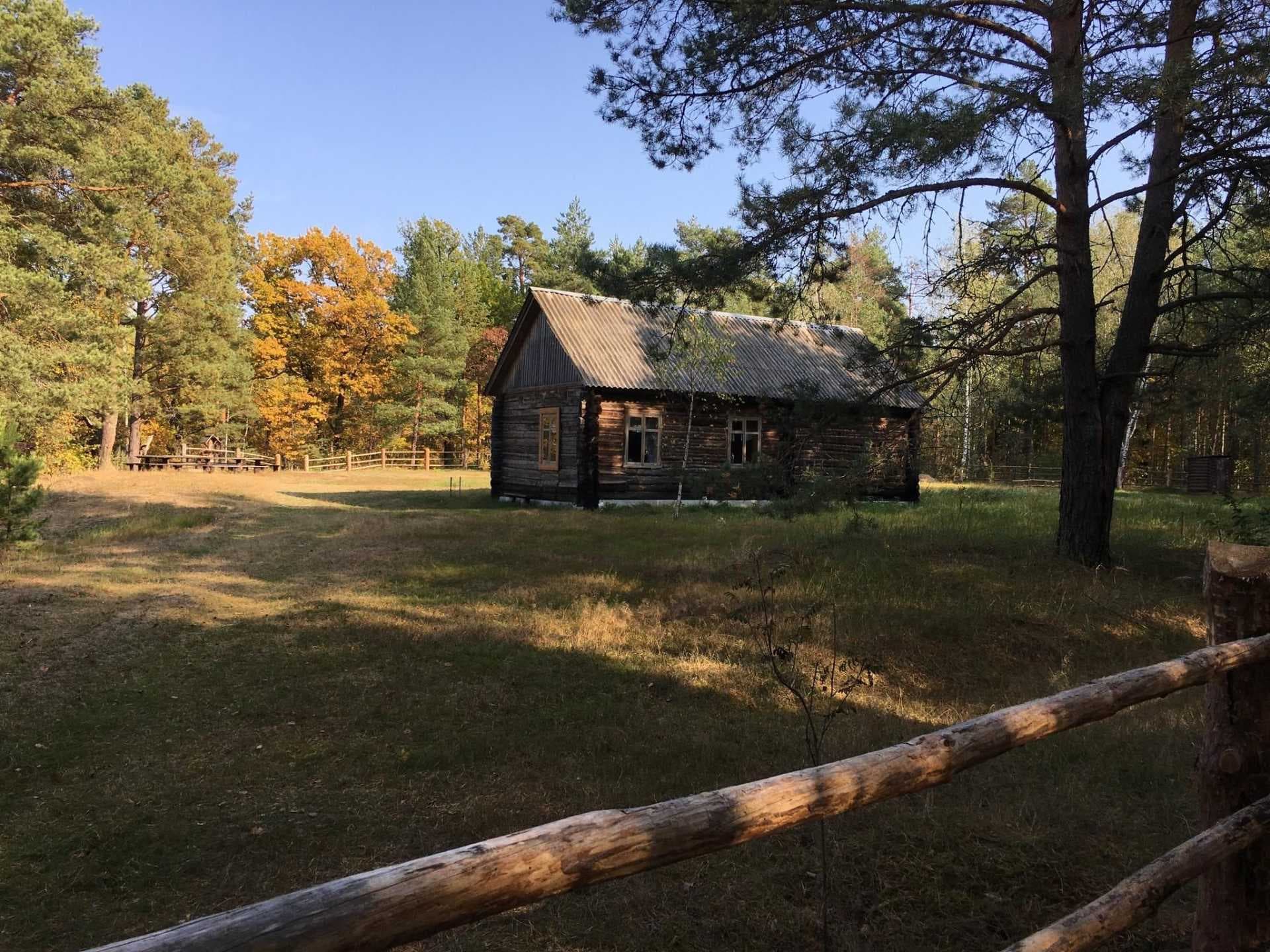 Weathered log cabin with corrugated roof sits in a grassy clearing surrounded by pine trees and a wooden fence.