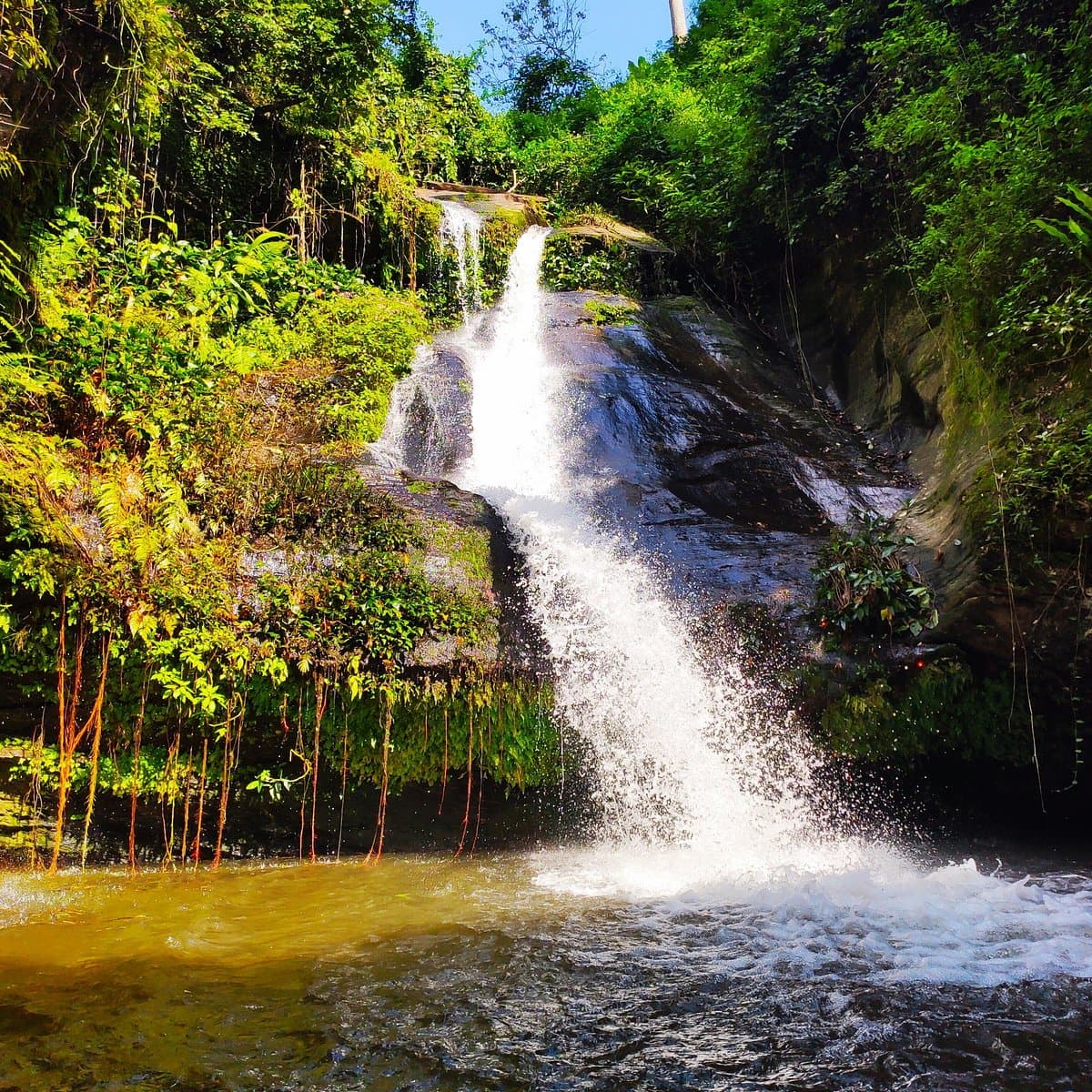 A cascading waterfall flows over mossy rocks into a pool, surrounded by dense tropical vegetation and hanging vines under bright sunlight.