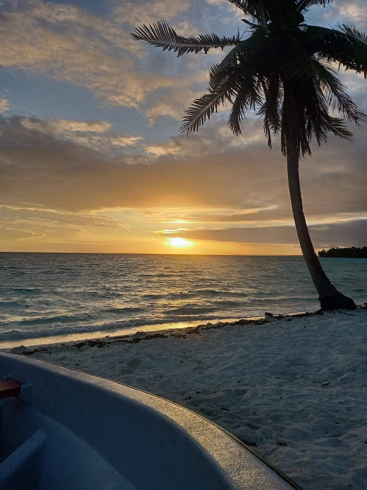 Sunset over a calm tropical sea with a leaning palm tree silhouetted on white sand near Ambo Village, Tarawa Atoll, Kiribati.